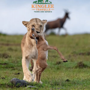 MASAAI MARA_imgupscaler.ai_General_8K