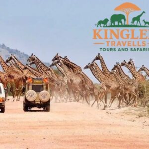 Tsavo east