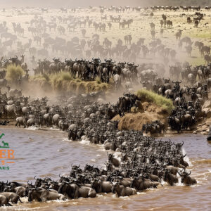 wildlife4_imgupscaler.ai_General_8K
